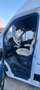 Mercedes-Benz Sprinter Sprinter  313CDI Largo vivienda homolgado Blanco - thumbnail 16