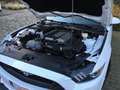 Ford Mustang 5.0 Ti-VCT V8 GT Blanc - thumbnail 19