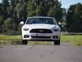 Ford Mustang 5.0 Ti-VCT V8 GT Blanc - thumbnail 11