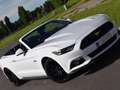 Ford Mustang 5.0 Ti-VCT V8 GT Wit - thumbnail 14