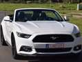 Ford Mustang 5.0 Ti-VCT V8 GT Wit - thumbnail 12