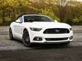 Ford Mustang 5.0 Ti-VCT V8 GT Wit - thumbnail 1