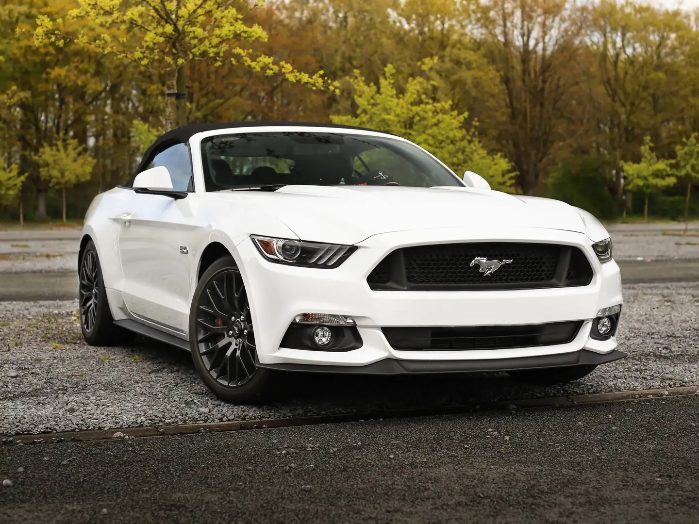 Ford Mustang 5.0 Ti-VCT V8 GT Wit - 1