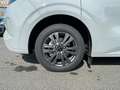 Ford Transit Custom Kasten DK 2,5 PHEV L2H1 320 Limited Grigio - thumbnail 13