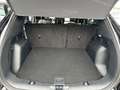 Ford Kuga Plug-In Hybrid Titanium Navi, Kamera Schwarz - thumbnail 7