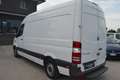 Mercedes-Benz Sprinter F37/33 311 CDI TN Furgone Pro Blanc - thumbnail 3