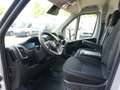 Fiat Ducato 35 L3H2 140 AT/Abstandstemp./Schwingsitz Weiß - thumbnail 8
