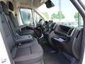 Fiat Ducato 35 L3H2 140 AT/Abstandstemp./Schwingsitz Weiß - thumbnail 10