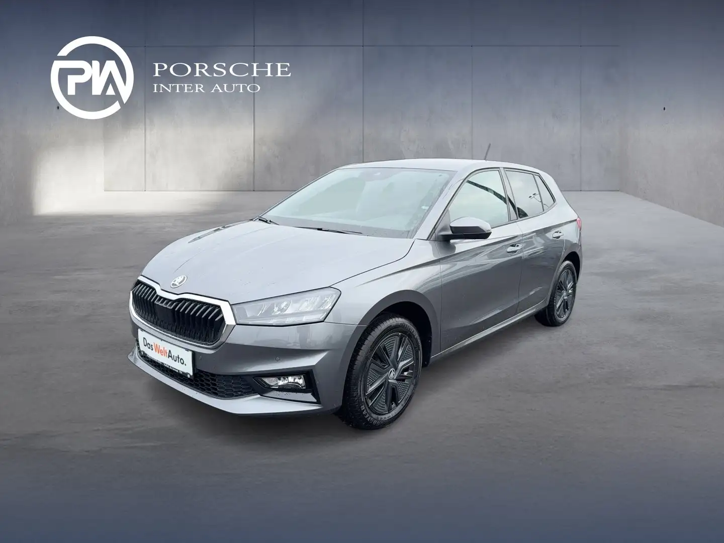 Skoda Fabia Selection TSI Grau - 1