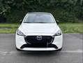 Mazda 2 1.5 e-SKYACTIV-G 90 M Hybrid Homura Aka - thumbnail 2