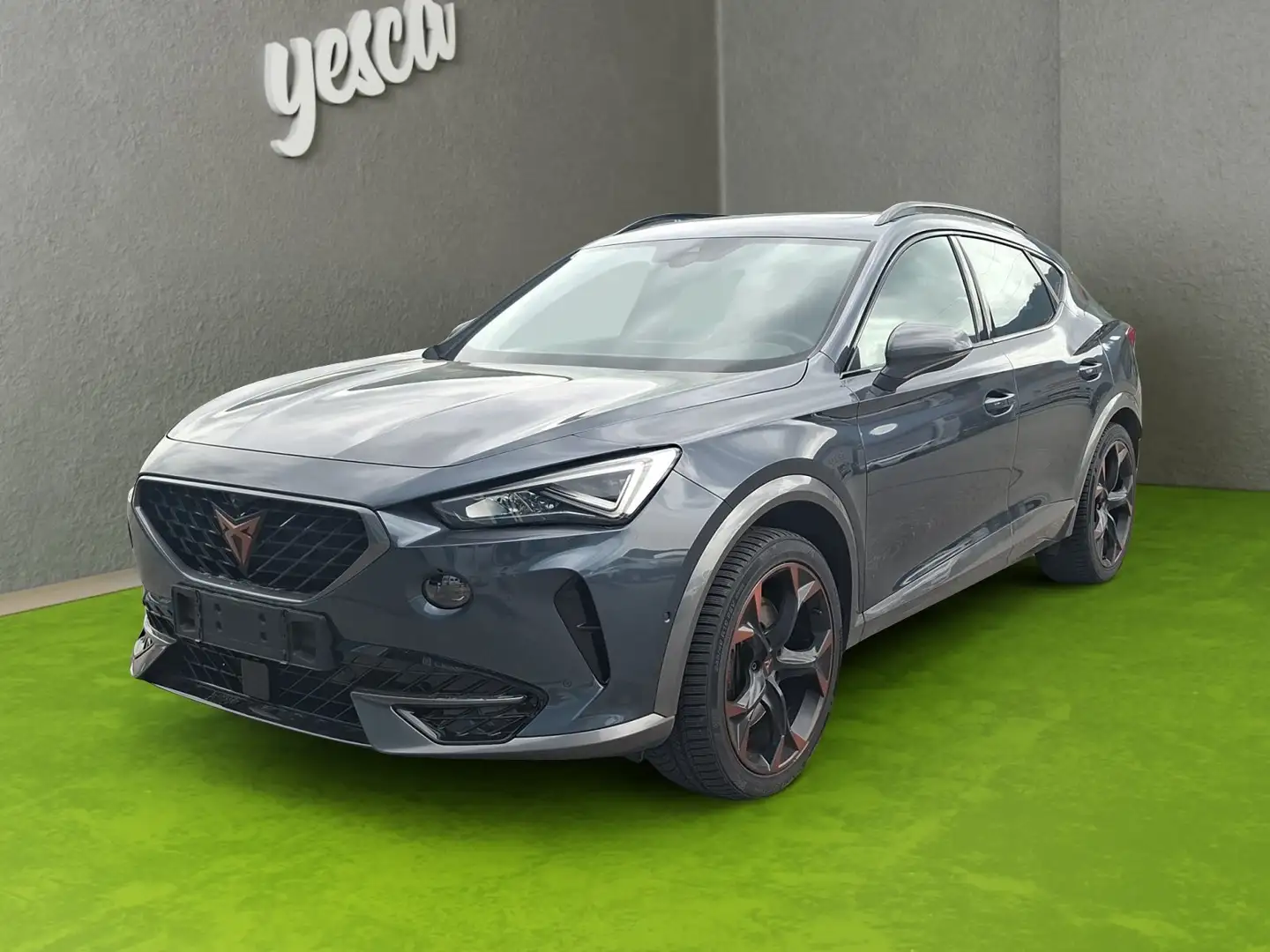 CUPRA Formentor VZ 4Drive Grau - 1