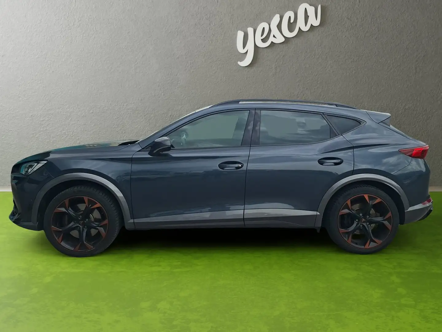 CUPRA Formentor VZ 4Drive Grau - 2