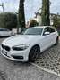 BMW 116 116d Sport 5p auto - thumbnail 3