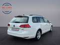 Volkswagen Golf Variant Comfort BlueMotion 1.Hand! ab.150€ Weiß - thumbnail 7