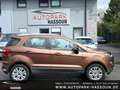 Ford EcoSport Titanium TÜV 05/26 Garantie Key-Less Tempo Multi K Gold - thumbnail 4