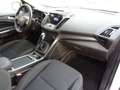 Ford Kuga 2.0TDCI 4x4 PREZZO VALIDO FINO 30.06,km cert. FORD Bianco - thumbnail 10
