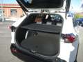 Suzuki Across 2.5 Plug-in Hybrid E-CVT 4WD Top Blanco - thumbnail 34
