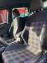 Volkswagen Golf 2.0 TSI 220cv DSG GTI BMT Negro - thumbnail 15