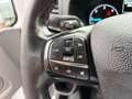 Ford Transit Custom 300 L2 Klima /Kamera /Winterpaket Blanco - thumbnail 22