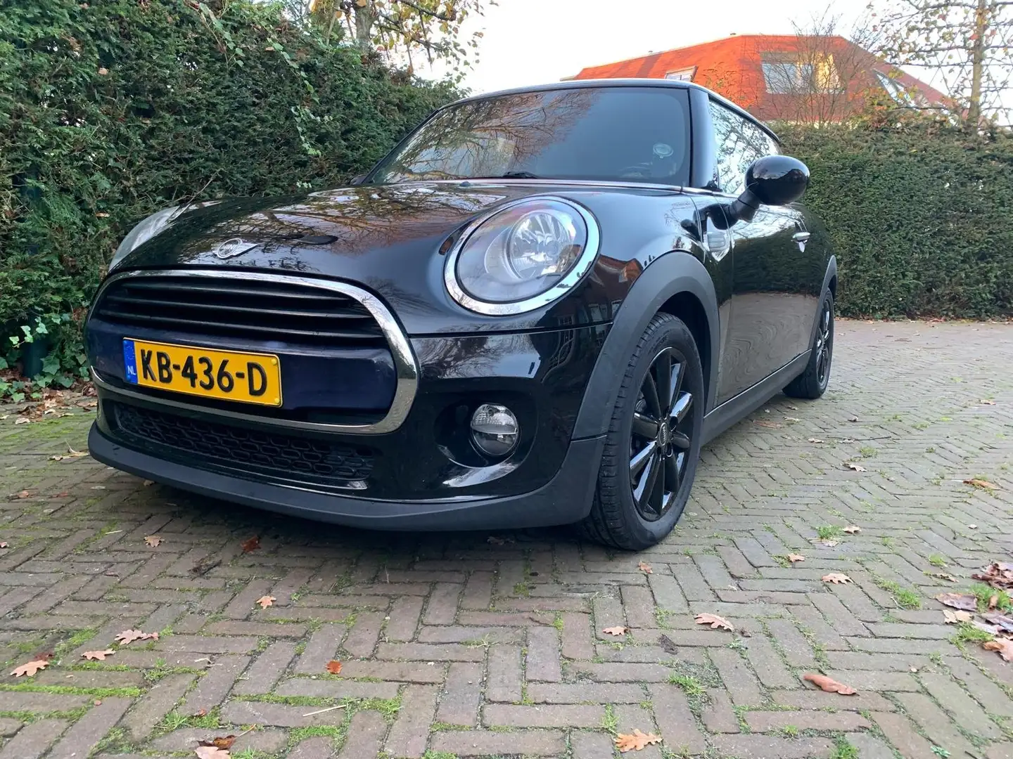 MINI Cooper Cooper 1.5 Pepper - 1