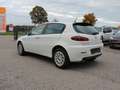 Alfa Romeo 147 1.6 TS 16V 120 Quadrifoglio Verde - thumbnail 5