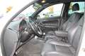 Alfa Romeo 147 1.6 TS 16V 120 Quadrifoglio Verde - thumbnail 11