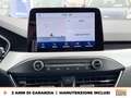 Ford Focus 1.5 ecoblue business co-pilot s&s 120cv auto my20. Grigio - thumbnail 23