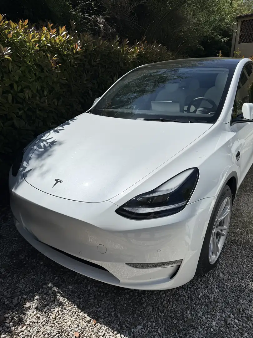 Tesla Model Y Model Y 2021 Long Range Dual Motor awd Bianco - 1