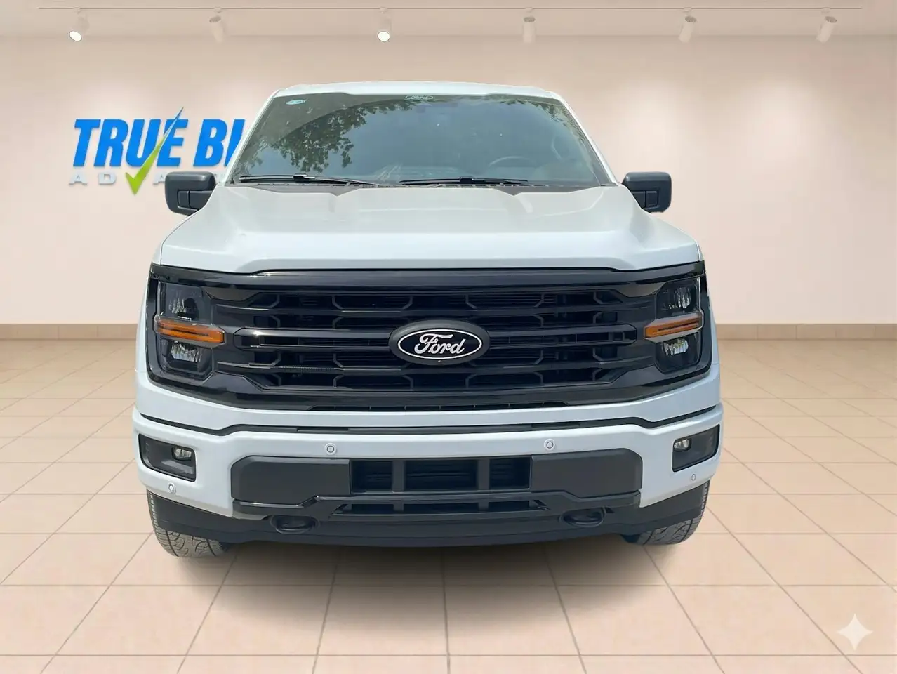 Ford F 150 fotografie Ford F 150