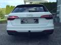 Audi A4 30 TDI NAVI, AHK, SCHIEBED. SPORTSITZE, PDC+, Weiß - thumbnail 30