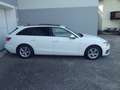 Audi A4 30 TDI NAVI, AHK, SCHIEBED. SPORTSITZE, PDC+, Weiß - thumbnail 1