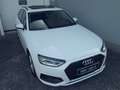 Audi A4 30 TDI NAVI, AHK, SCHIEBED. SPORTSITZE, PDC+, Weiß - thumbnail 2