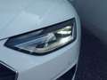 Audi A4 30 TDI NAVI, AHK, SCHIEBED. SPORTSITZE, PDC+, Weiß - thumbnail 5