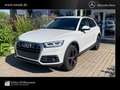 Audi Q5 40 TDI quattro Matrix LED/Sthzg/AHK/ACC/RfCam Bianco - thumbnail 1