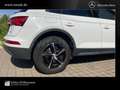 Audi Q5 40 TDI quattro Matrix LED/Sthzg/AHK/ACC/RfCam Bianco - thumbnail 9