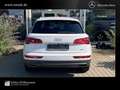 Audi Q5 40 TDI quattro Matrix LED/Sthzg/AHK/ACC/RfCam Bianco - thumbnail 11