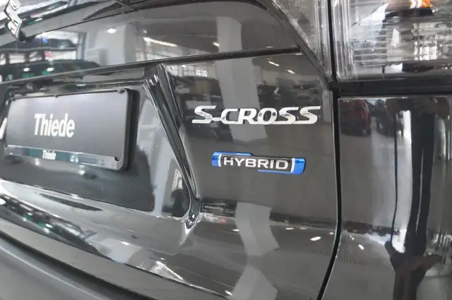 Suzuki SX4 S-Cross view 9