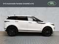 Land Rover Range Rover Evoque D165 Dynamic SE Weiß - thumbnail 6