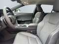 Lexus RZ 300e Executive Line *LED*HUD*360°*el Heck*ACC* Zwart - thumbnail 8