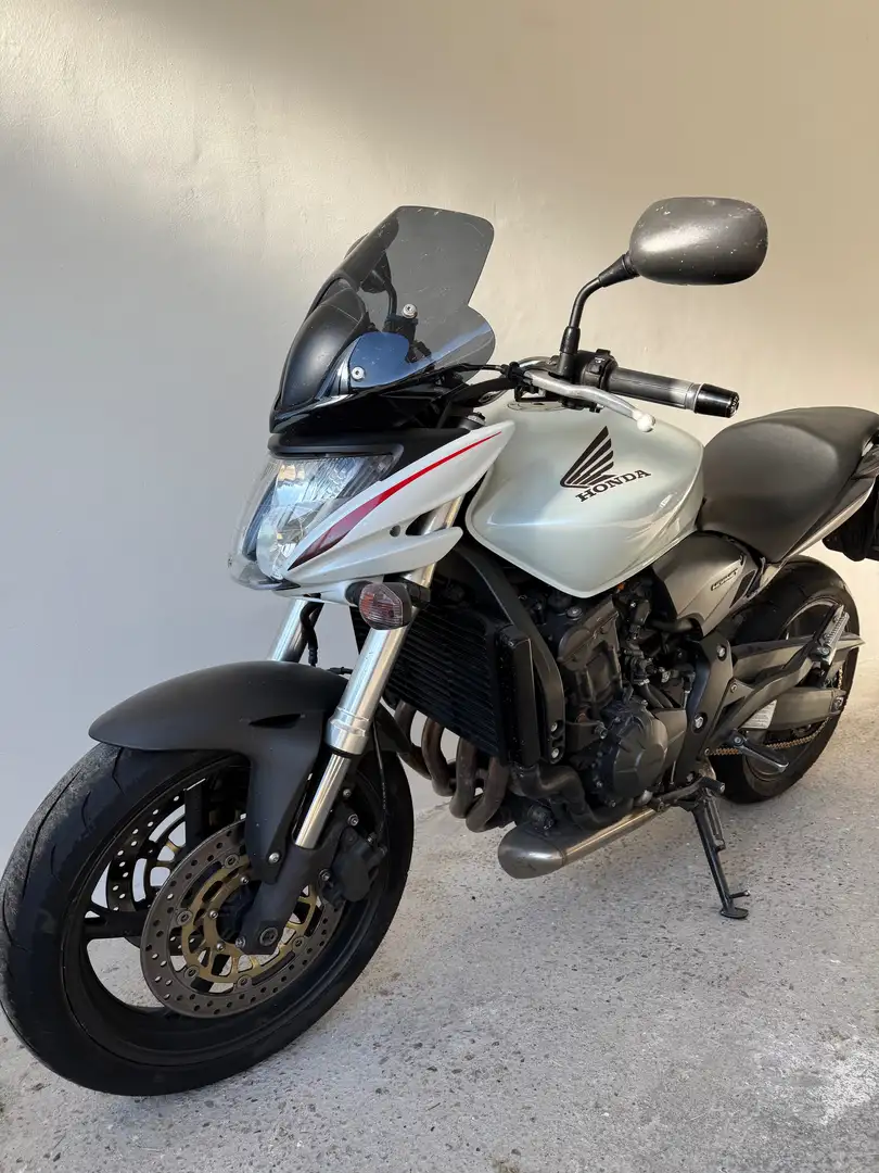 Honda Hornet Bianco - 2