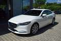 Mazda 6 Lim. 2.5 194PS Takumi Leder Bose Matrix-LED 360° G Weiß - thumbnail 2