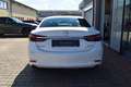 Mazda 6 Lim. 2.5 194PS Takumi Leder Bose Matrix-LED 360° G Weiß - thumbnail 13