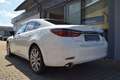 Mazda 6 Lim. 2.5 194PS Takumi Leder Bose Matrix-LED 360° G Weiß - thumbnail 11