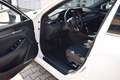 Mazda 6 Lim. 2.5 194PS Takumi Leder Bose Matrix-LED 360° G Weiß - thumbnail 18