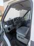 Ford Transit Bus LKW GESCHLKASTEN / Tourneo - thumbnail 8