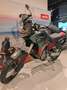 Aprilia Tuareg Valigie laterali incluse Verde - thumbnail 8