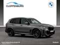 BMW X5 xDrive30d M Sportpaket Gestiksteuerung DAB Grey - thumbnail 9