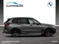 BMW X5 xDrive30d M Sportpaket Gestiksteuerung DAB Grey - thumbnail 8