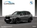 BMW X5 xDrive30d M Sportpaket Gestiksteuerung DAB Grey - thumbnail 1
