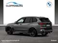 BMW X5 xDrive30d M Sportpaket Gestiksteuerung DAB Grey - thumbnail 6